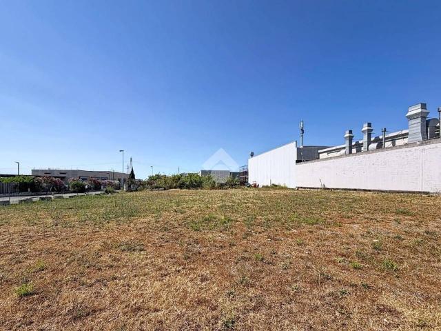 Terreno edificabile in vendita a Rosignano Marittimo