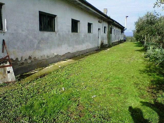 Terreno Edificabile in vendita a Santa Maria a Monte