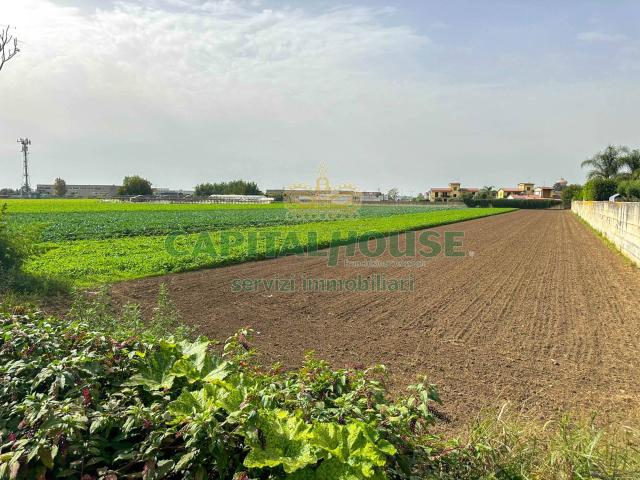 Terreno edificabile in vendita a San Tammaro