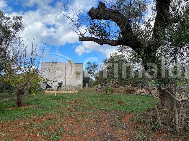 Terreno edificabile in vendita a Sannicola