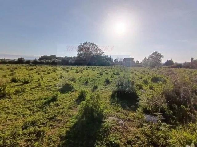 Terreno edificabile in vendita a Siracusa