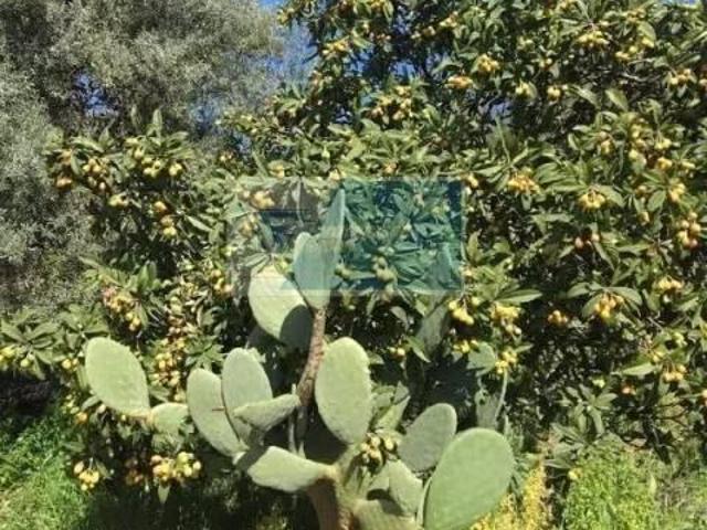 Terreno edificabile in vendita a Siracusa