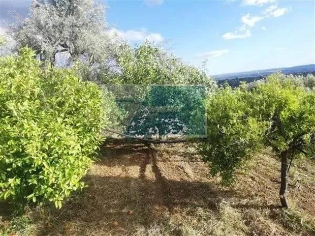 Terreno edificabile in vendita a Siracusa