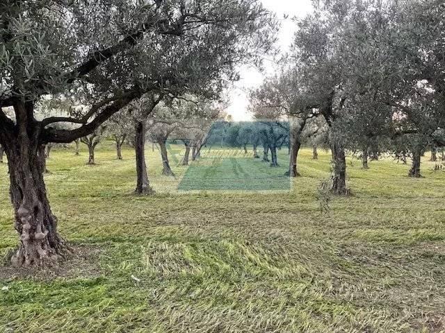 Terreno edificabile in vendita a Siracusa