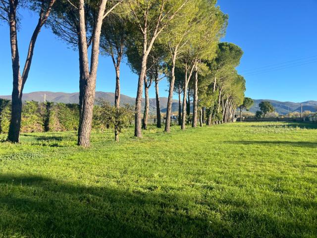 Terreno Edificabile in vendita a Spoleto