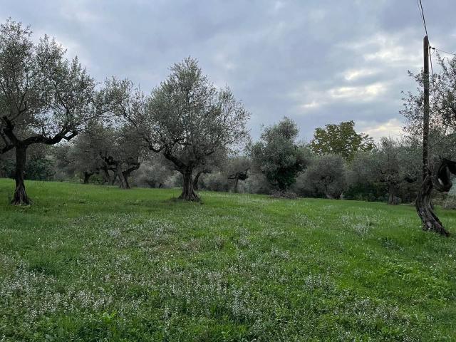 Terreno edificabile industriale in vendita a Pianella