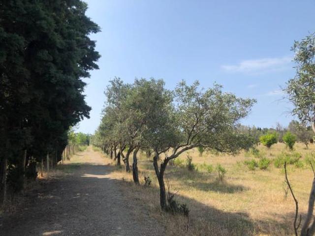 Terreno edificabile residenziale in vendita a Catanzaro