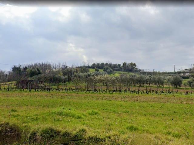 Terreno edificabile residenziale in vendita a Casciana Terme Lari