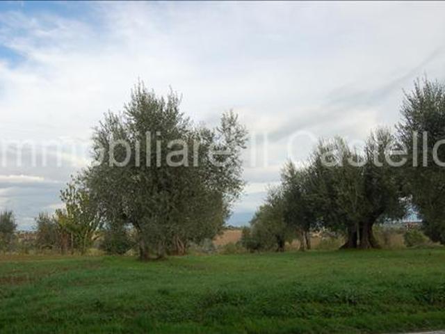 Terreno edificabile residenziale in vendita a Castiglione Del Lago