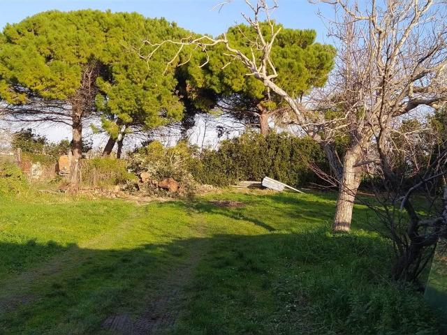 Terreno edificabile residenziale in vendita a Bibbona