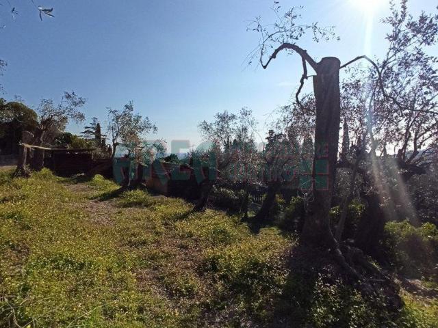 Terreno edificabile residenziale in vendita a Imperia