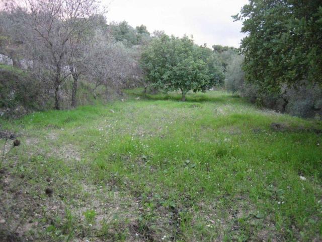 Terreno edificabile residenziale in vendita a Modica
