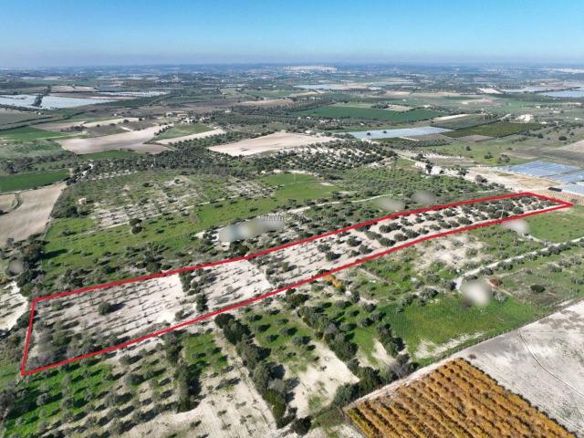 Terreno edificabile residenziale in vendita a Noto