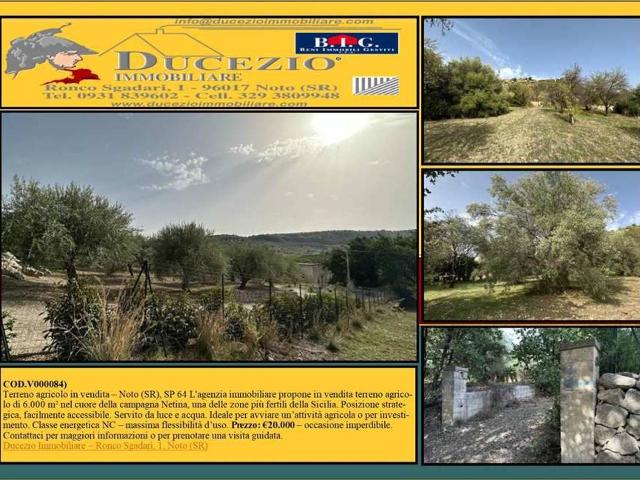 Terreno edificabile residenziale in vendita a Noto