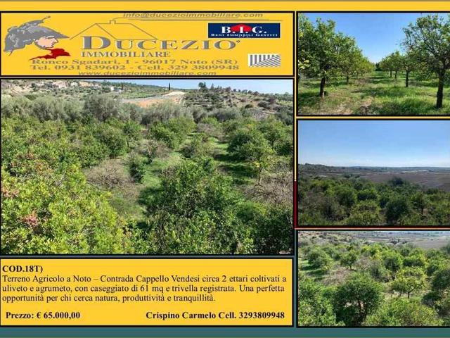 Terreno edificabile residenziale in vendita a Noto