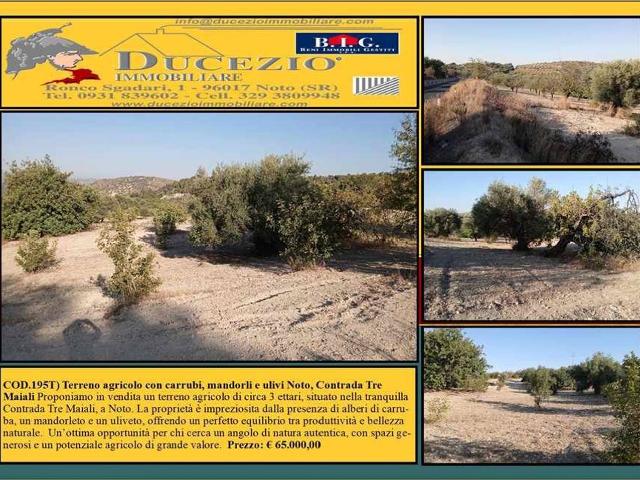 Terreno edificabile residenziale in vendita a Noto