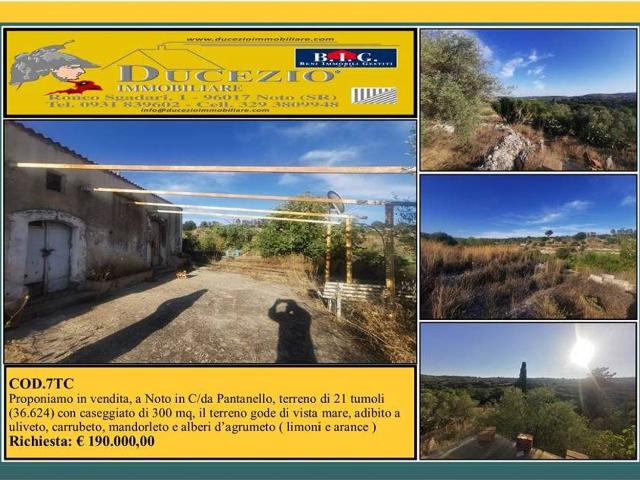 Terreno edificabile residenziale in vendita a Noto