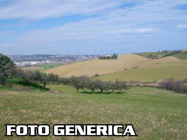 Terreno edificabile residenziale in vendita a San Miniato