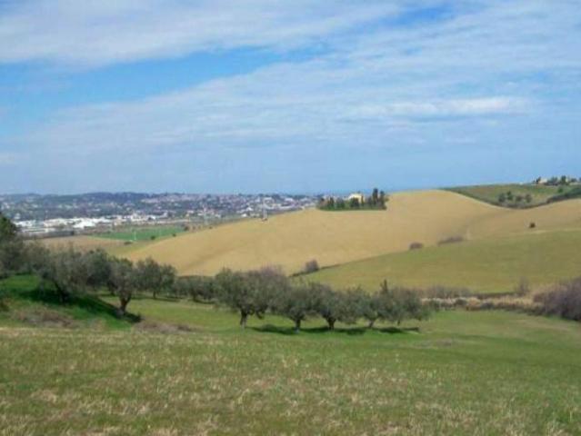 Terreno edificabile residenziale in vendita a San Miniato
