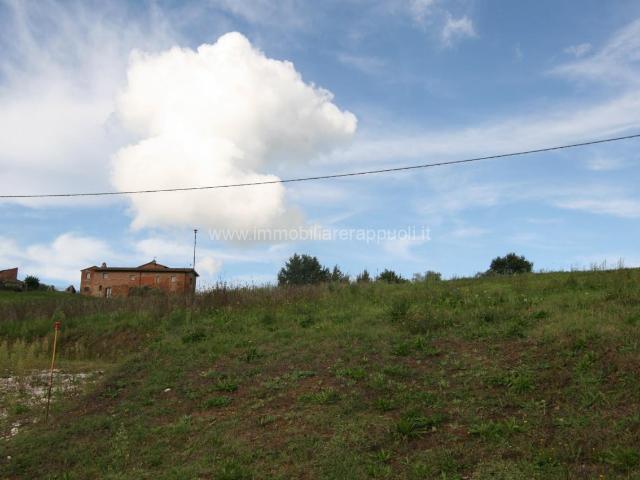 Terreno edificabile residenziale in vendita a Sinalunga