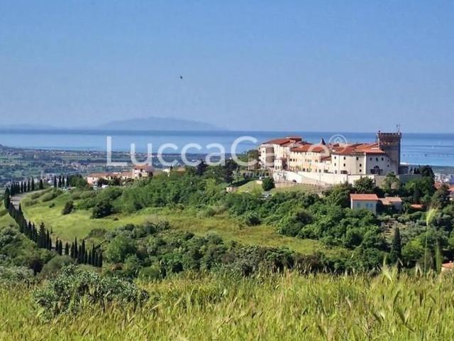 Terreno edificabile residenziale in vendita a Rosignano Marittimo