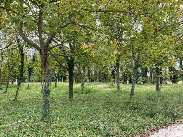 Terreno edificabile residenziale in vendita a Treviso