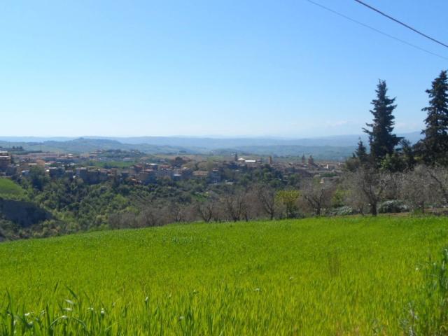 Terreno edificabile residenziale o commerciale in vendita a Offida