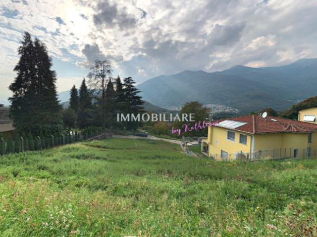 Un posto soleggiato e tranquillo