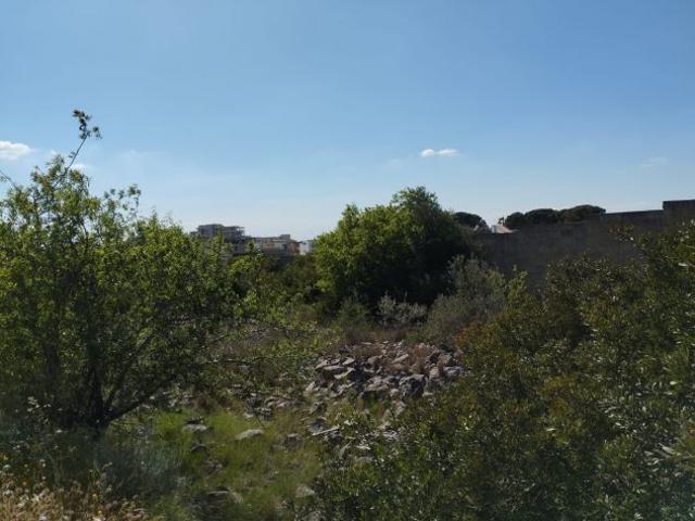 Terreno edificabile
