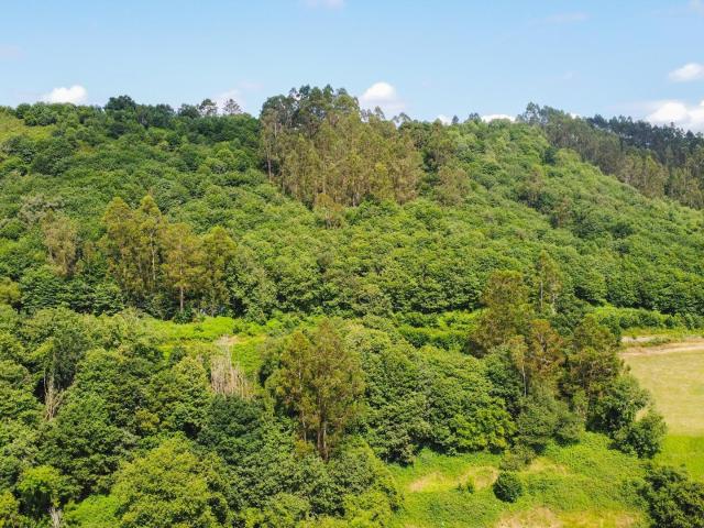 TERRENO EDIFICABLE EN LAS CUESTAS MUNICIPIO DE OVIEDO