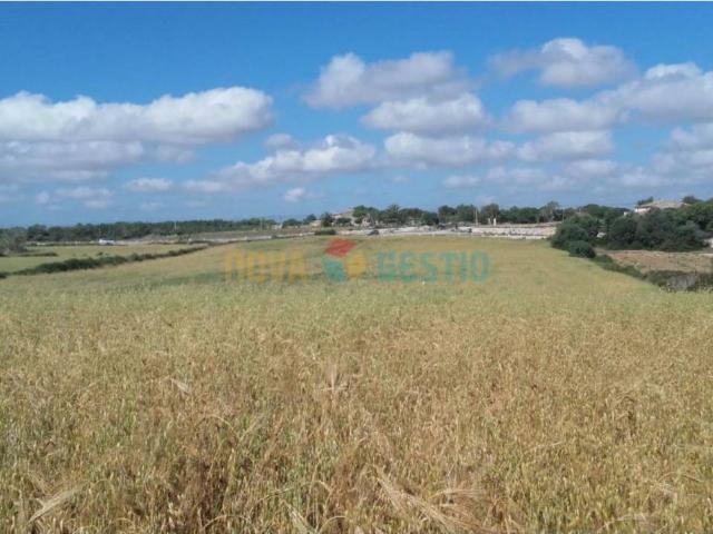 Terreno edificable en venta en Felanitx