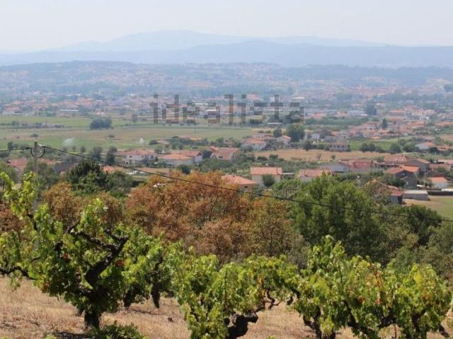 Terreno, Eiras São Julião de Montenegro Cela
