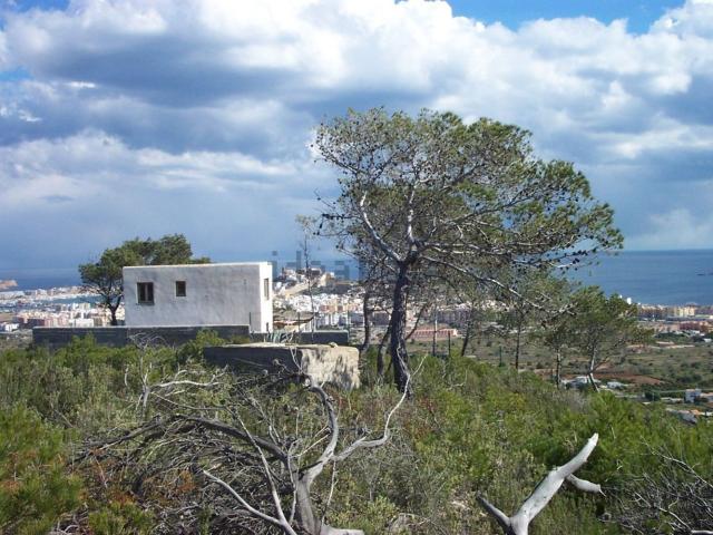 Terreno, Eivissa