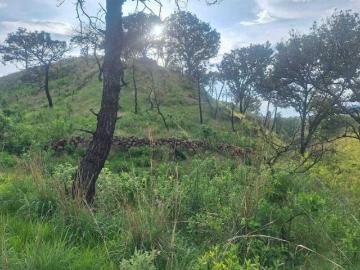 Terreno en venta La Primavera Zapopan | 2,462 m² | Vista Panorámica