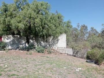 Terreno ejidal en cola de caballo san bartolo tenayuca