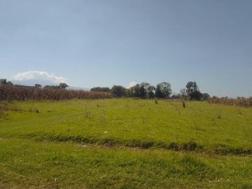 Terreno EJIDAL en RENTA en Metepec, a un costado de Condado del Valle