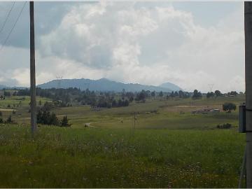 Terreno Ejido la Gavia San Jos? la Gavia