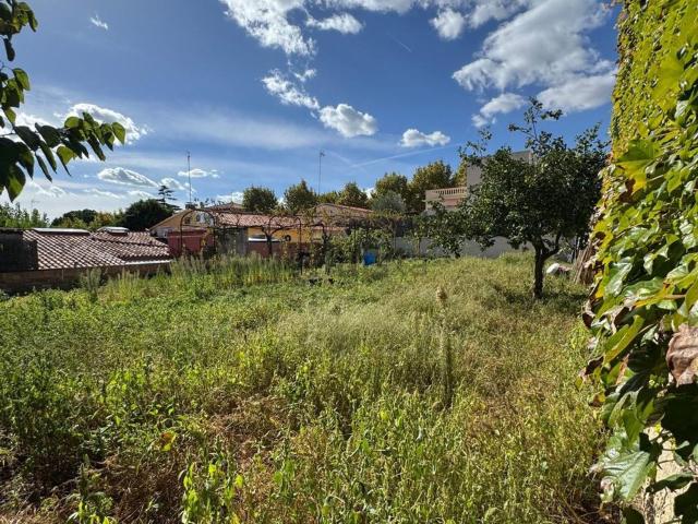 Terreno, El Masnou