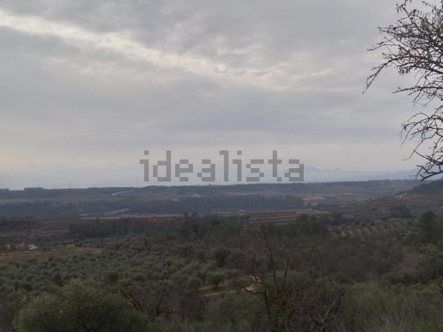 Terreno, El Masroig