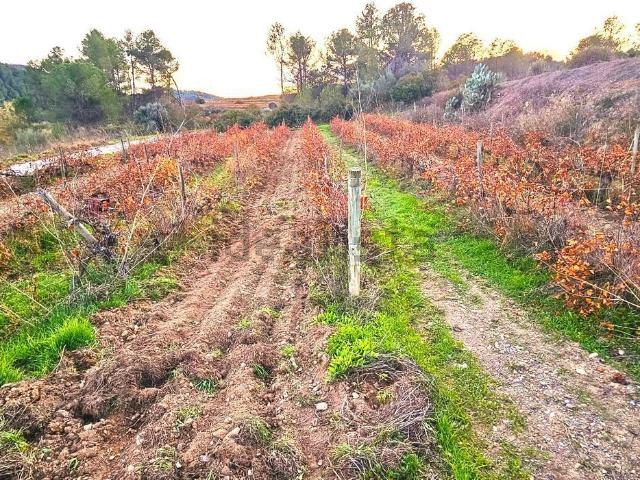 Terreno, El Molar