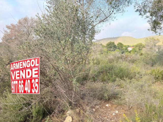 Terreno, El Montmell