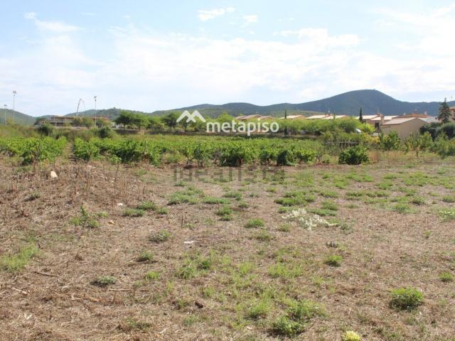 Terreno, El Montmell