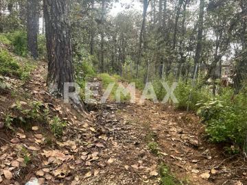 Terreno el Alcanfores