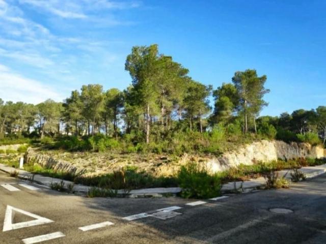 Terreno, El Catllar