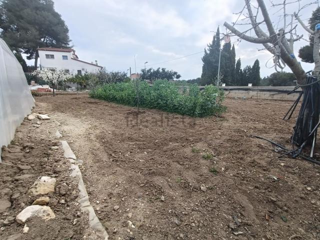 Terreno, El Catllar