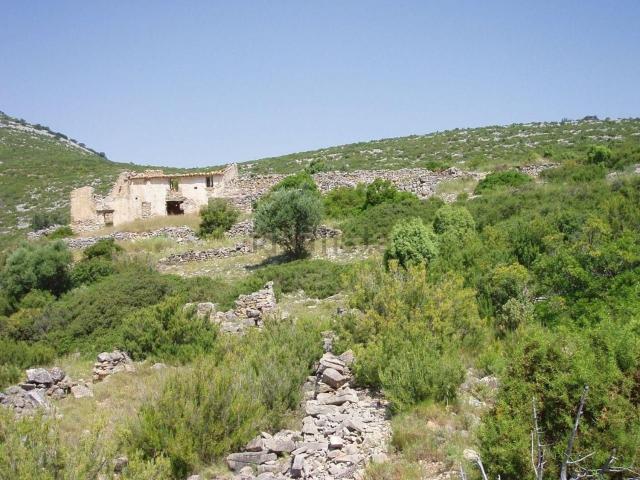 Terreno, El Grau de Castelló