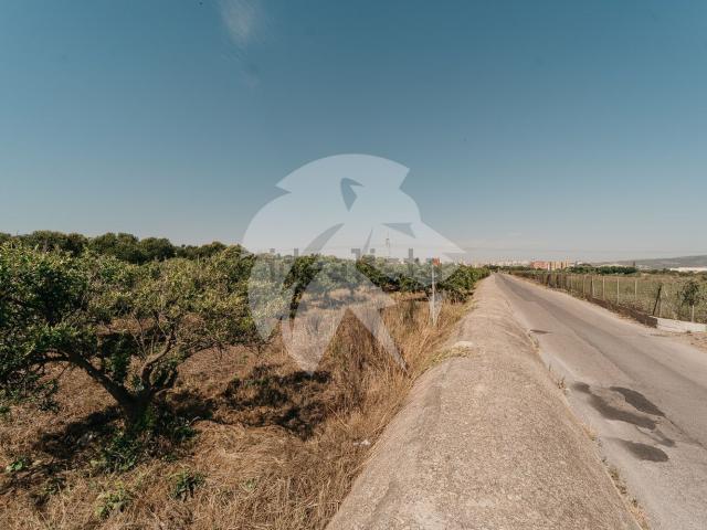 Terreno, El Grau de Castelló