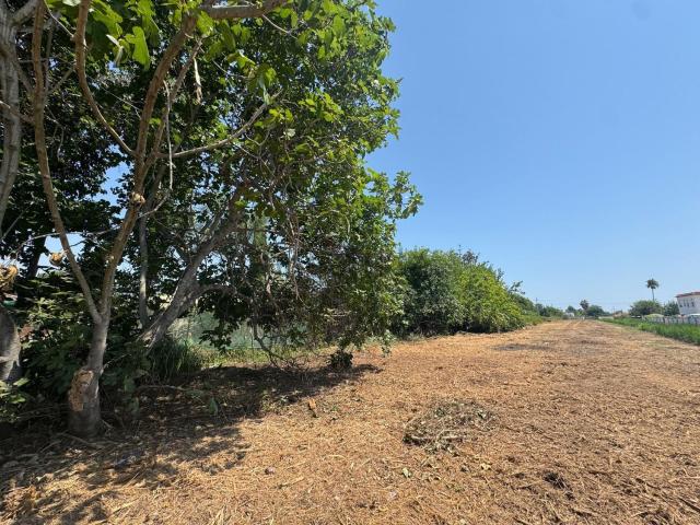 Terreno, El Grau de Castelló