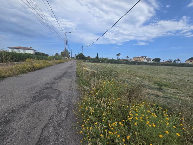 Terreno, El Grau de Castelló