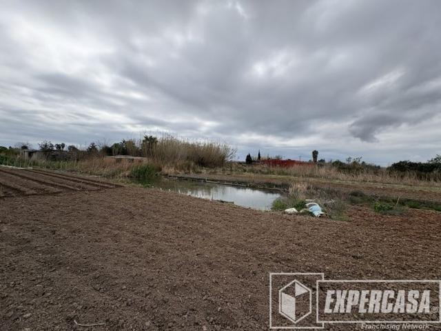 Terreno, El Grau de Castelló